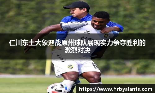 仁川东土大象迎战原州球队展现实力争夺胜利的激烈对决