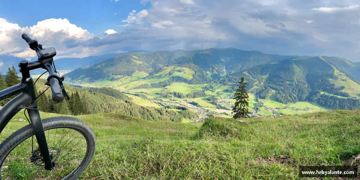 解读球王会体育